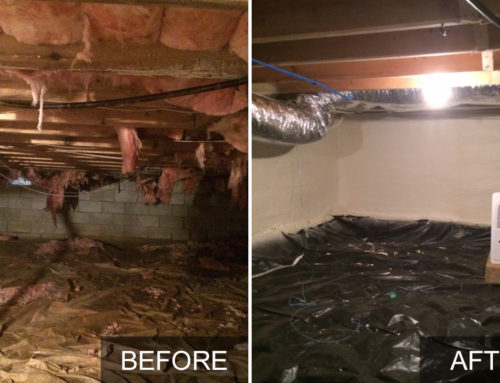 Crawl Space Insulation & Conditioning