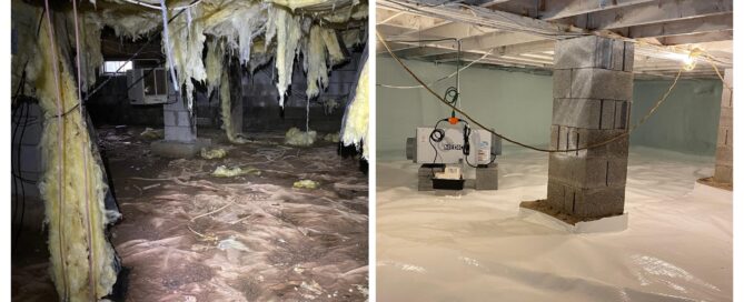 crawl space before (1) COLLAGE
